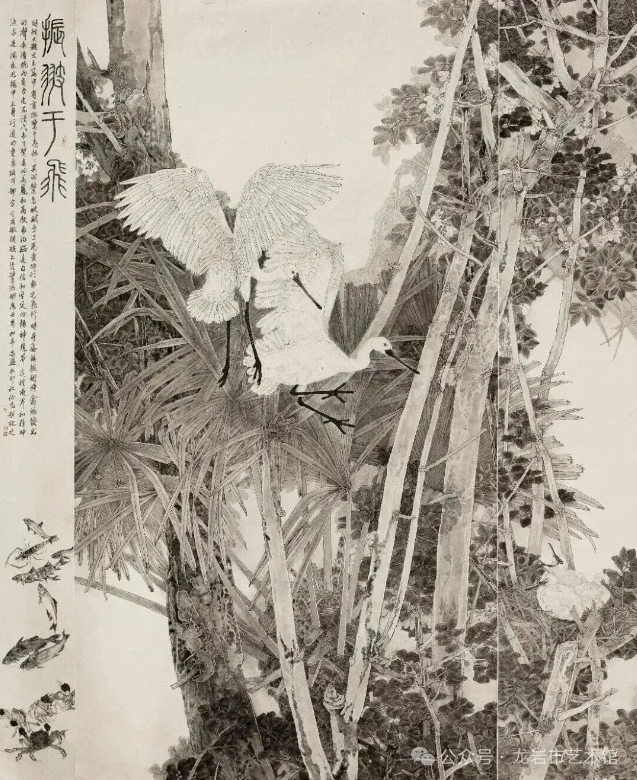 展翅于飞